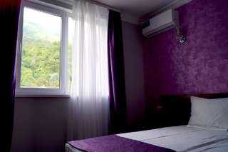Гостевой дом Nobi Guest House Гагра Двухместный номер с 1 кроватью-9